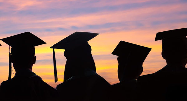 Higher Education